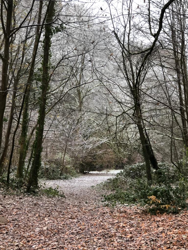 一年四季，山間各有美景。冬天時，住的地方下雪，在有雪的山林中行走，另有一番味道。